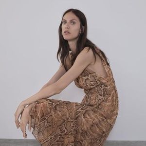 Zara Dress